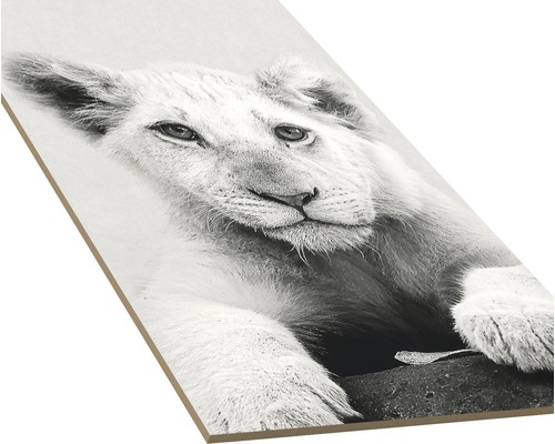 Decoratieve plaat met leeuwenmotief