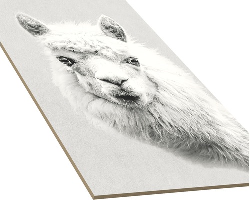 Decoratieve wanddecoratie met lama afbeelding