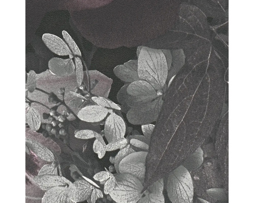 Close-up van hortensiabladeren