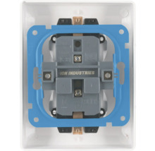 ION INDUSTRIES schakelaarinzetstuk