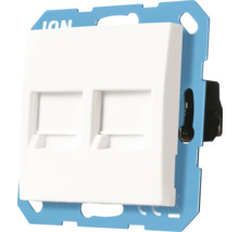 Dubbele netwerkdoos voor wandmontage