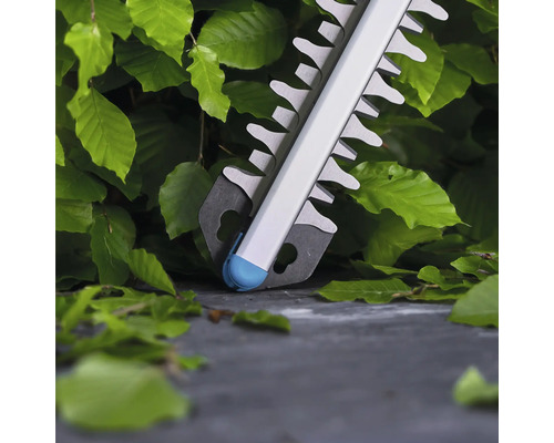 Close-up van een heggenschaar in gebruik op een heg