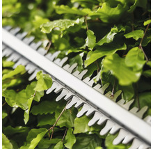 Close-up van een heggenschaar in gebruik op een haag