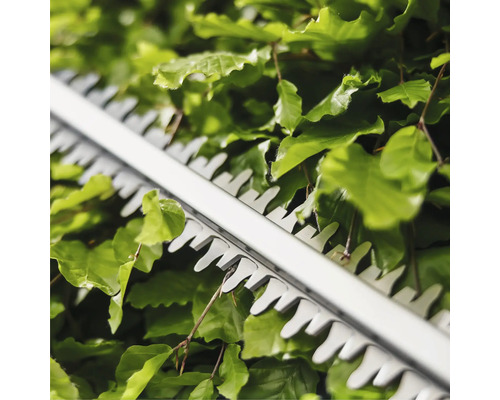 Close-up van een heggenschaar in gebruik op een haag