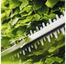 Close-up van een heggenschaar die een heg knipt