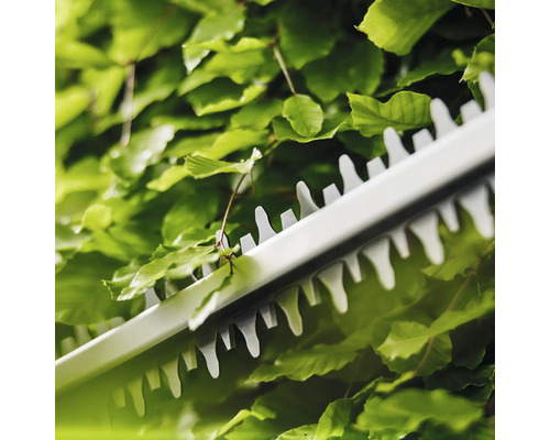 Close-up van een heggenschaar die een heg knipt