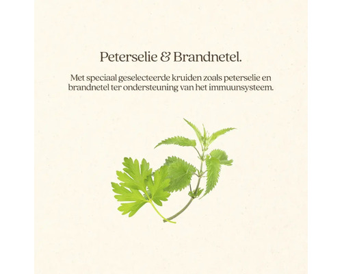 Peterselie en brandnetel kruiden ter ondersteuning van het immuunsysteem.