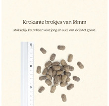 Hondenvoerbrokjes met een grootte van 18 millimeter naast een liniaal