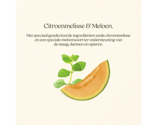 Meloen en citroenmelisse met tekst.