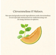 Illustratie van een meloen en citroenmelisse