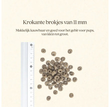 Hondenvoerbrokjes met een diameter van 11 millimeter naast een liniaal.