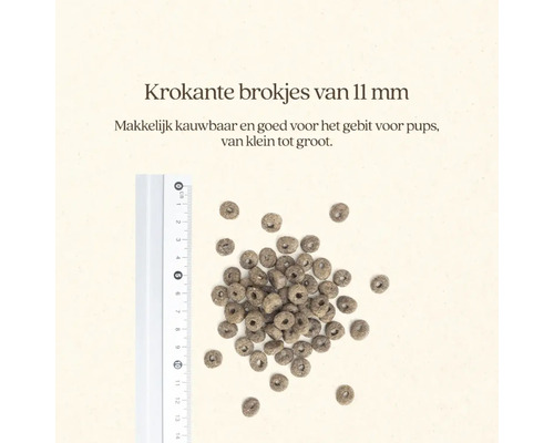 Hondenvoerbrokjes met een diameter van 11 millimeter naast een liniaal.