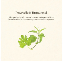 Peterselie en brandnetel ter ondersteuning van het immuunsysteem.