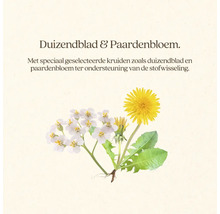 Afbeelding van duizendblad en paardenbloem