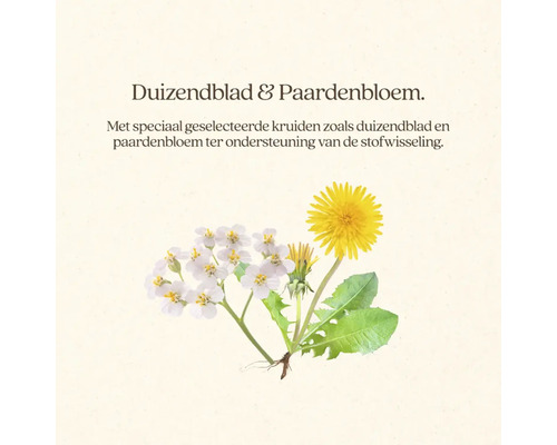 Afbeelding van duizendblad en paardenbloem