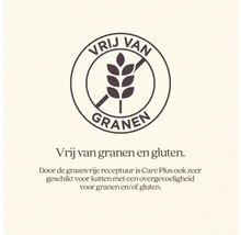 Symbool voor graanvrij: het product bevat geen granen.