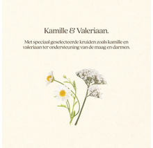 Kamille en valeriaan ter ondersteuning van de maag en darmen.