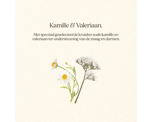 Kamille en valeriaan ter ondersteuning van de maag en darmen.