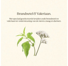 Brandnetel en valeriaan kruidenmengsel