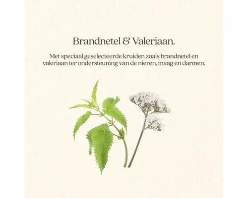 Brandnetel en valeriaan kruidenmengsel