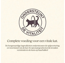 Ondersteunt de vitaliteit van de kat.