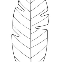 Monstera blad illustratie