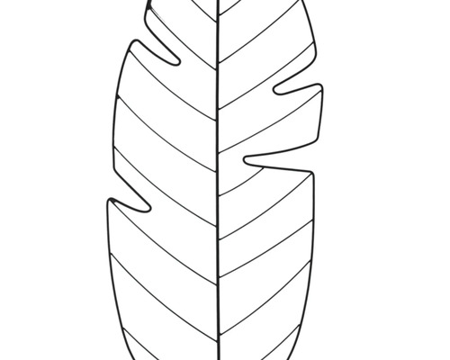 Monstera blad illustratie