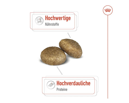 Twee brokken hondenvoer met informatie over voedingsstoffen en proteïnen
