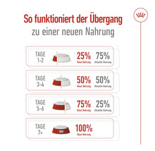 Schema voor het overstappen op nieuwe diervoeding met percentages per dag