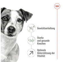 Hond met informatie over gewichtsbehoud, sterke botten en vitaliteit