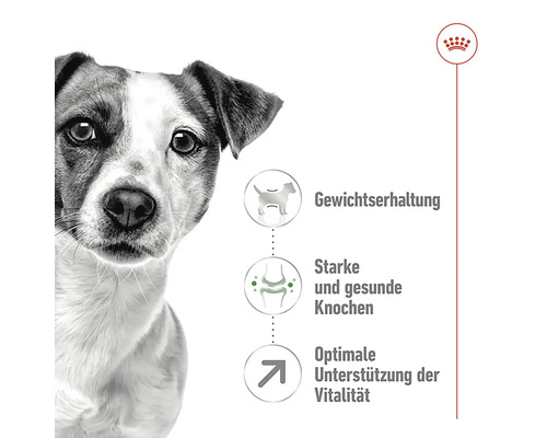 Hond met informatie over gewichtsbehoud, sterke botten en vitaliteit