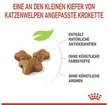 Kroketten speciaal voor kleine kittens, met natuurlijke antioxidanten, zonder kunstmatige kleur- en smaakstoffen.