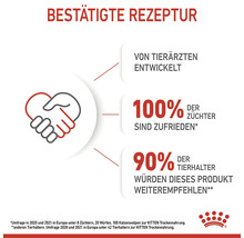 Bewezen receptuur voor kattenvoer, ontwikkeld door dierenartsen en hoge tevredenheidscijfers