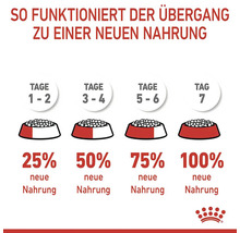 Diagram over het overschakelen op een nieuw hondenvoer in zeven dagen