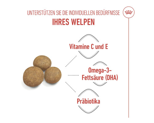 Informatie over vitaminen, omega 3 vetzuren en prebiotica in puppyvoer.