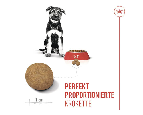 Illustratie van perfect geproportioneerde brok, puppy en voerbak