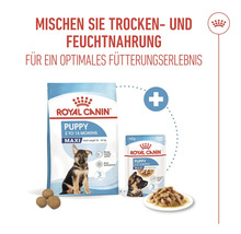 Royal Canin Puppy Maxi droog- en natvoer voor puppy's