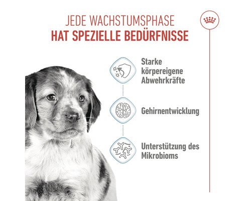 Illustratie met puppy en informatie over sterke natuurlijke weerstand, hersenontwikkeling en ondersteuning van het microbioom