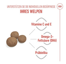 Hondenvoer voor puppy's met vitamine C en E, Omega-3-vetzuren en prebiotica
