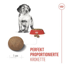 Illustratie van Royal Canin hondenvoer voor puppy's met een jonge hond
