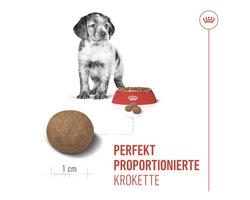 Illustratie van Royal Canin hondenvoer voor puppy's met een jonge hond