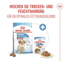 Royal Canin Logo. Verpakking honden droogvoer en natvoer voor puppy's van het formaat medium