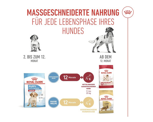 Illustratie van Royal Canin hondenvoeding op maat voor elke levensfase