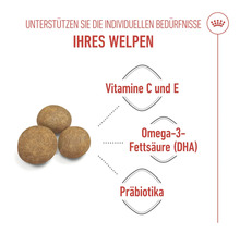 Drie brokken hondenvoer met informatie over vitaminen, omega 3 vetzuren en prebiotica voor puppy's