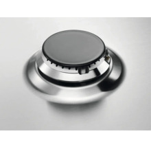 Gasbrander van roestvrij staal