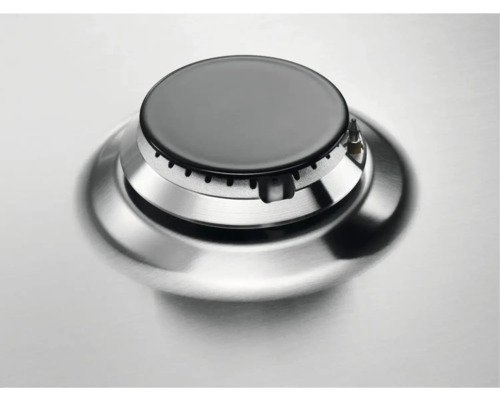 Gasbrander van roestvrij staal