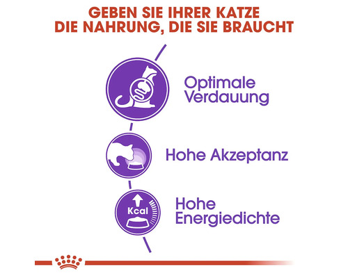 Voordelen van kattenvoer: Optimale spijsvertering, hoge acceptatie, hoge energiedichtheid