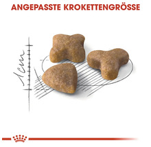 Drie stukken brokken met aangepaste brokmaat
