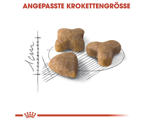 Drie stukken brokken met aangepaste brokmaat