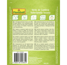 Verpakking van veldsla 'Verte de Cambrai' van het merk FloraSelf met informatie over kenmerken en teelt